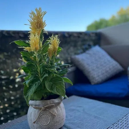 - Annamaria - Intero Vistamare - Apartmán *