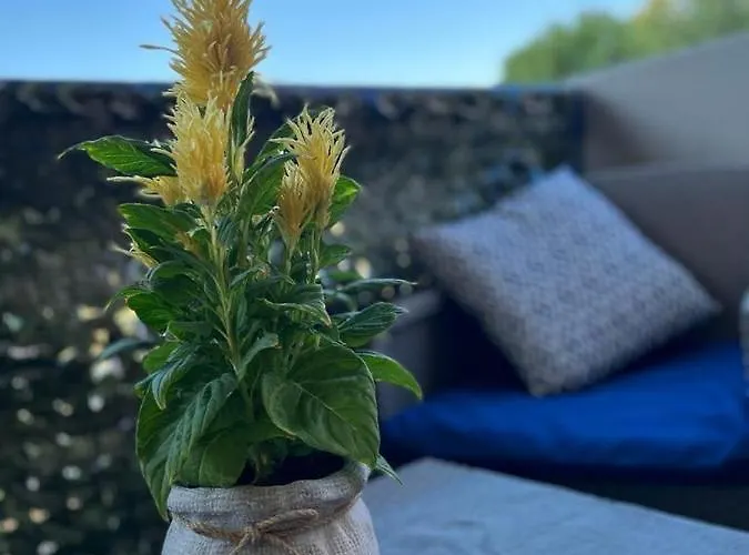 - Annamaria - Intero Vistamare - Appartement *