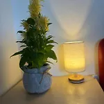 Apartamento - Annamaria - Intero Vistamare - *